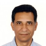 Profile picture of Hesham El-Gamal